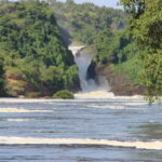 David Redford - Murchison Falls
