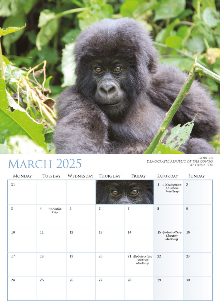 Calendar 2025 March